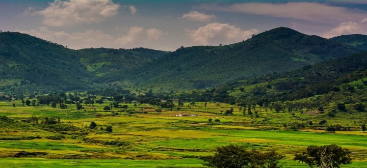 ananthagiri-hills-araku