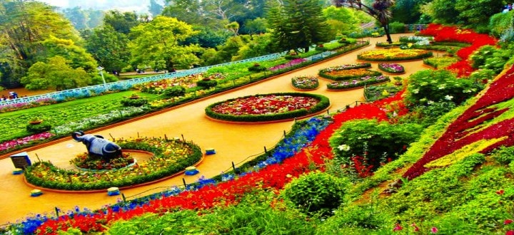 botanical-garden-ooty