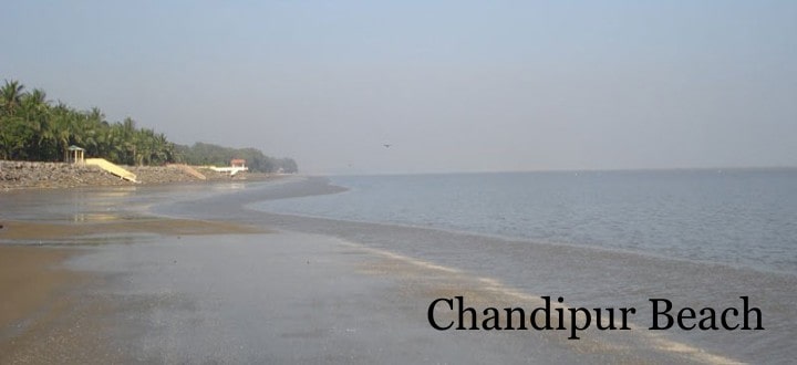 chandipur-beach