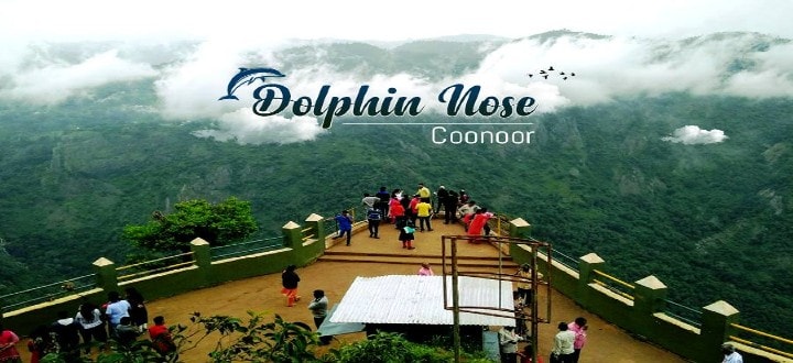 dolphins-nose-in-coonoor