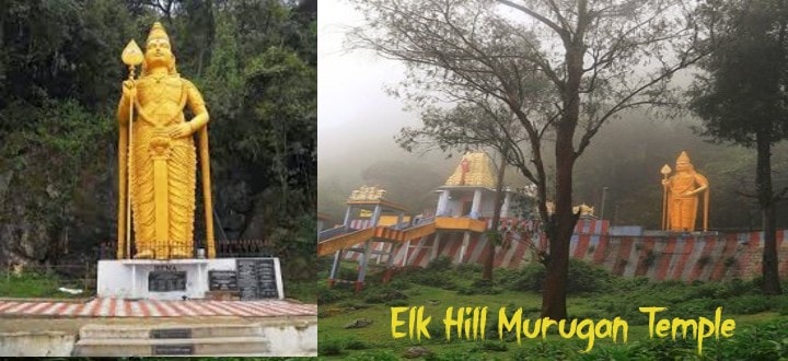 elk-hill-murugan-temple-ooty