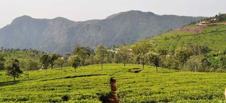 lady-cannings-seat-coonoor