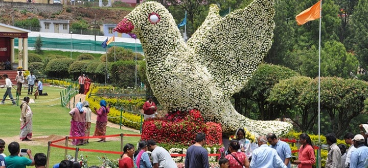 rose-garden-in-ooty