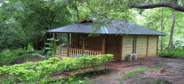 tyda-nature-camp