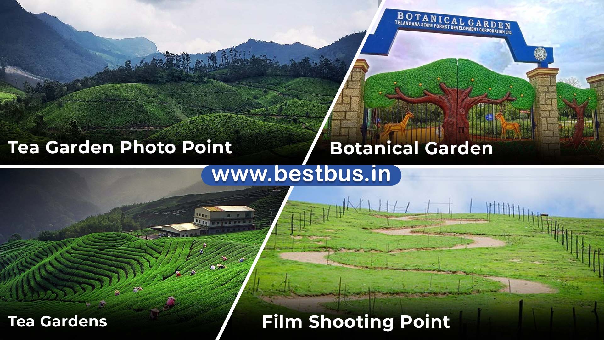 3 Days Kodaikanal Munnar Tour Package From Bangalore By Bus visit place 5