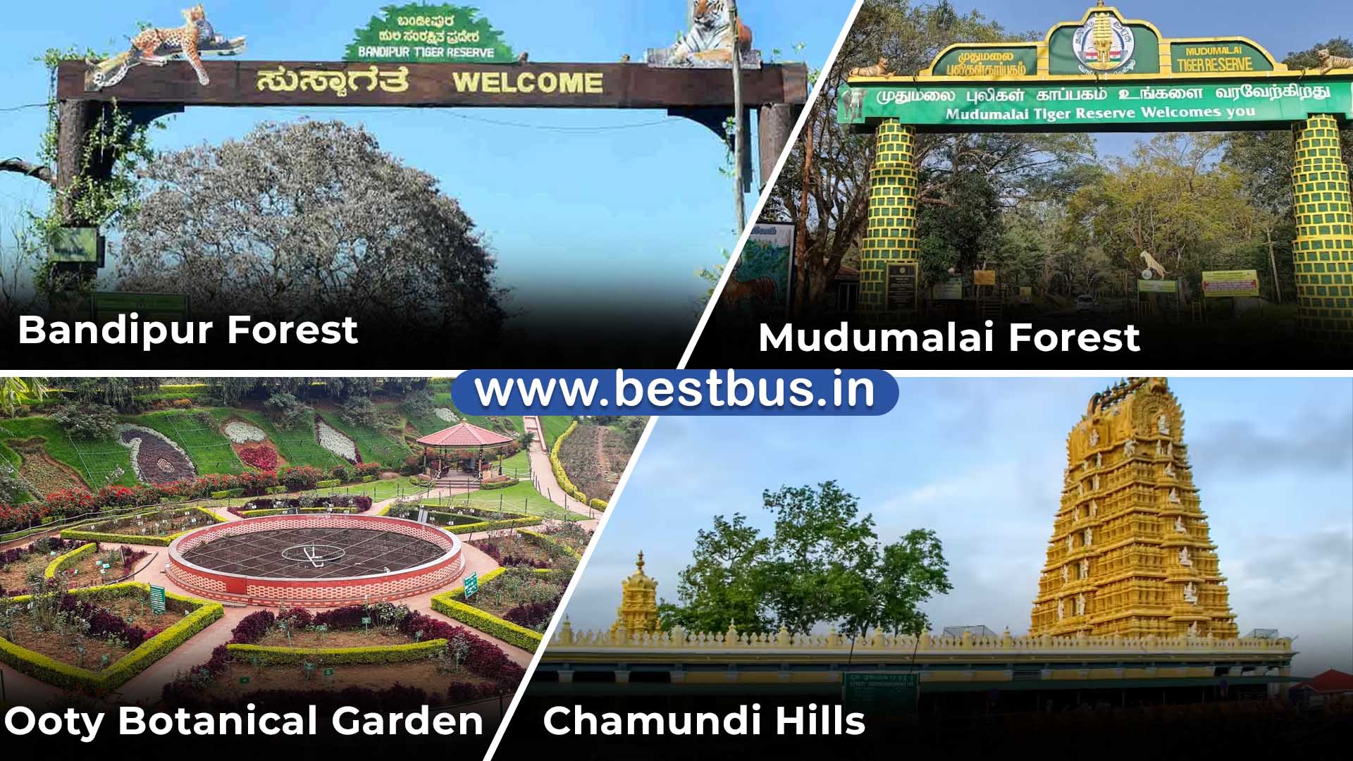 Bangalore To Coorg Madikeri Wayanad Ooty Coonoor Mysore visit place 2