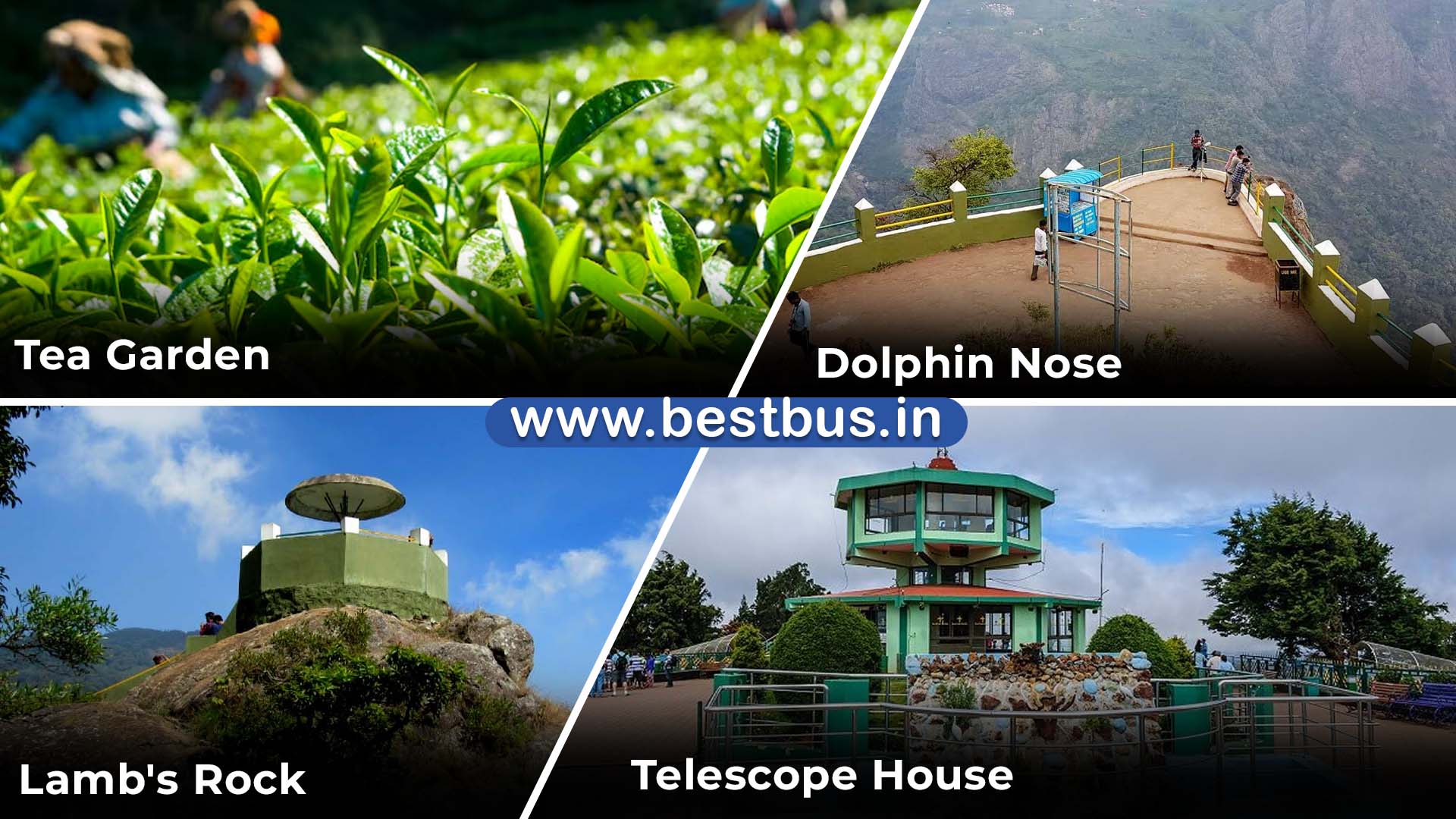 Bangalore To Coorg Madikeri Wayanad Ooty Coonoor Mysore visit place 5