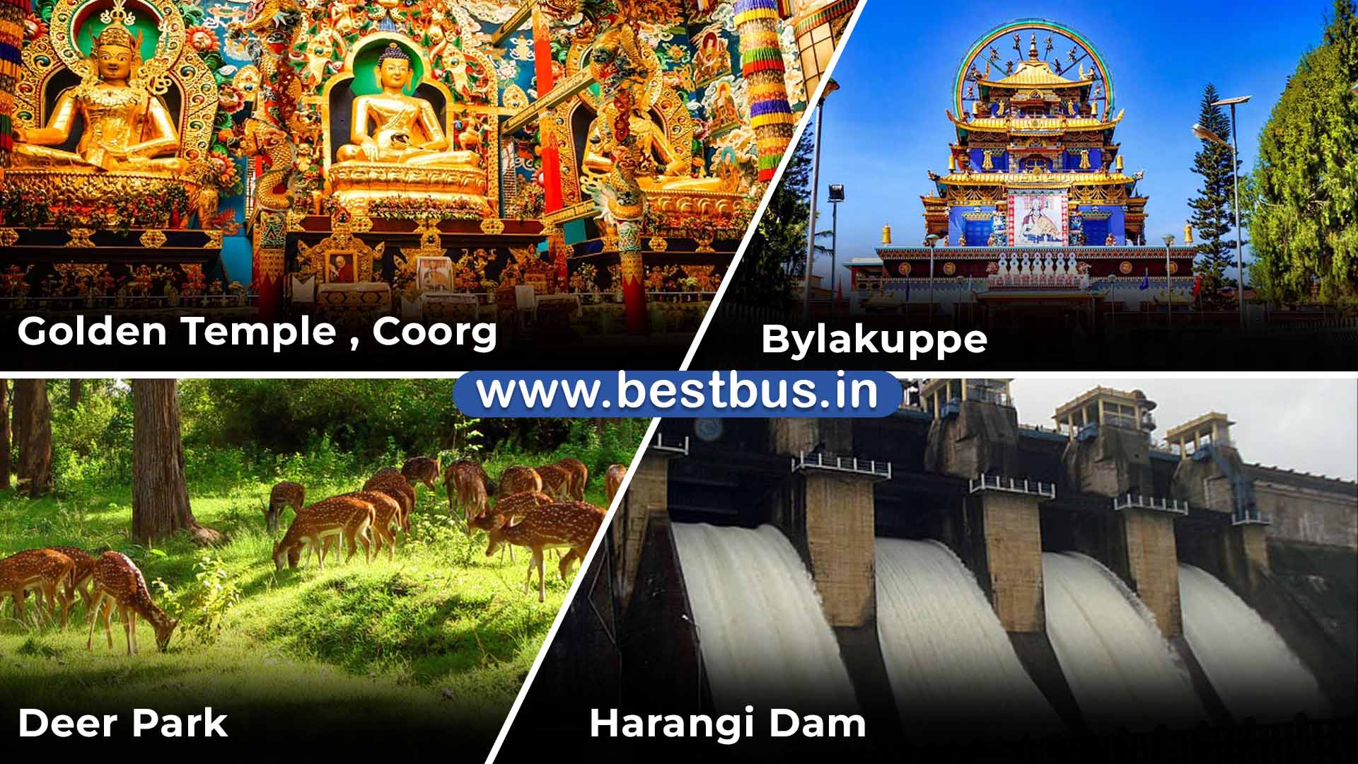 Bangalore To Coorg Madikeri Wayanad Ooty Coonoor Mysore visit place 8