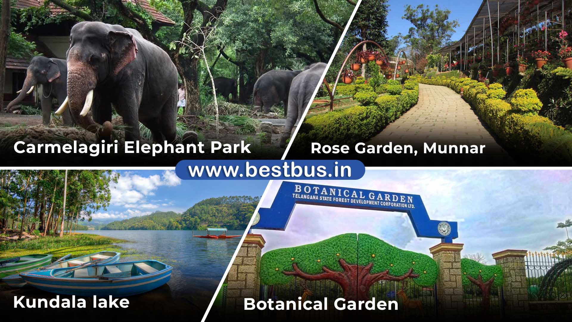 Bangalore To Munnar Thekkady Vagamon Tour Package visit place 2