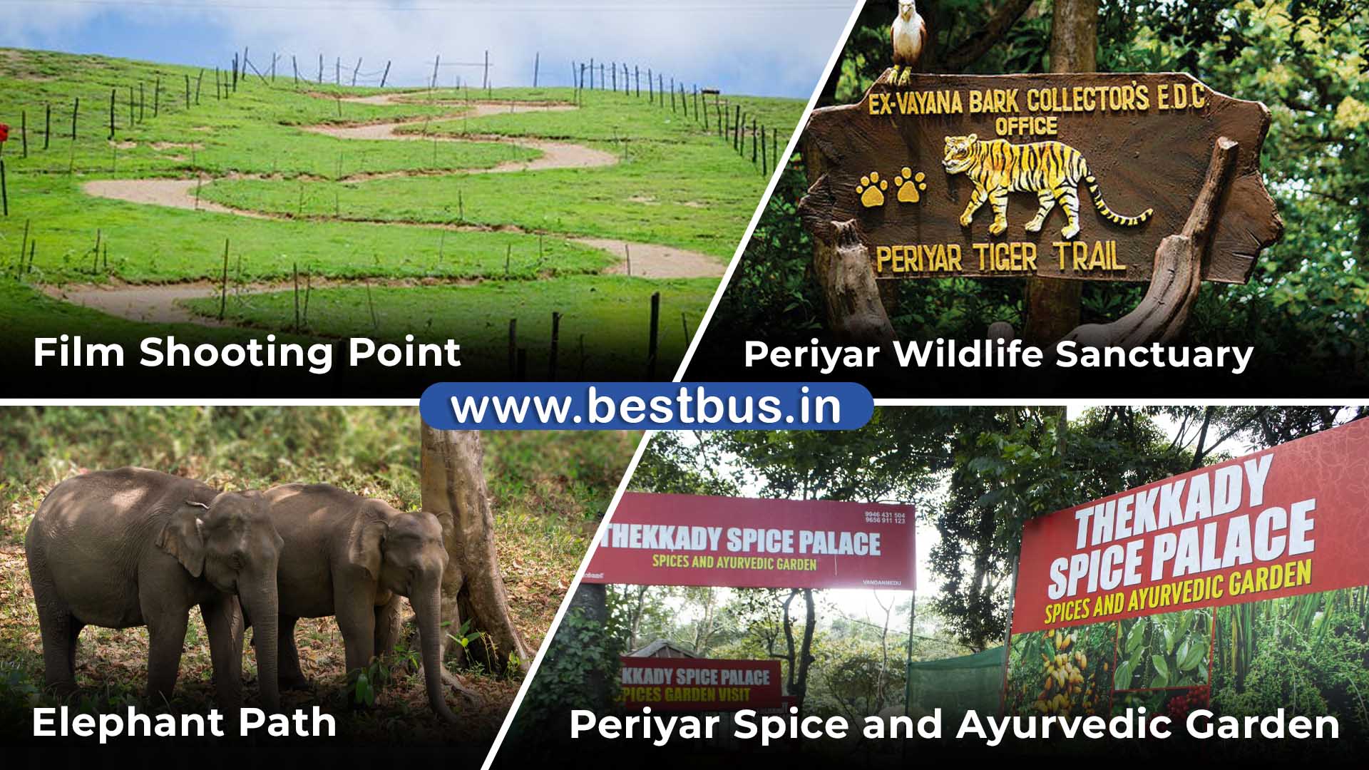 Bangalore To Munnar Thekkady Vagamon Tour Package visit place 3