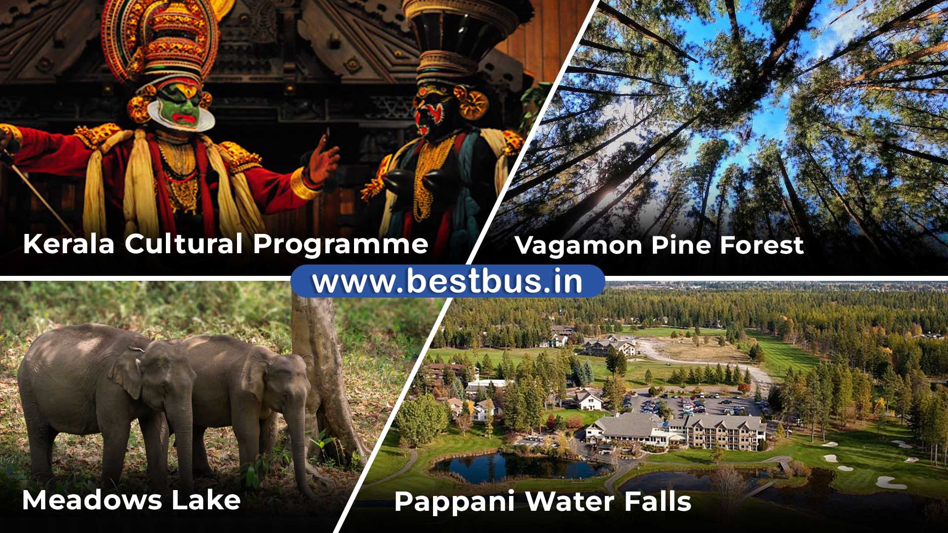 Bangalore To Munnar Thekkady Vagamon Tour Package visit place 4