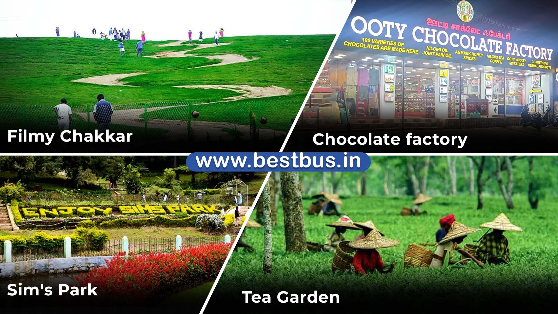 Bangalore To Mysore (2 Days) Ooty Coonoor Filmy Chakkar - 4 Nights-5 Days Tour Package visit place 7