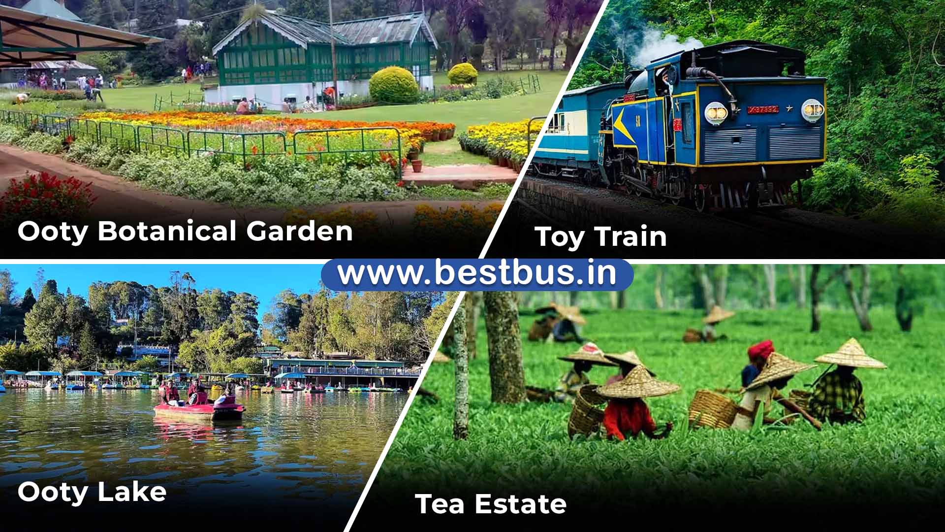 Bangalore To Mysore Ooty Coonoor Coorg Madikeri Abbey Falls VISIT PLACE 04