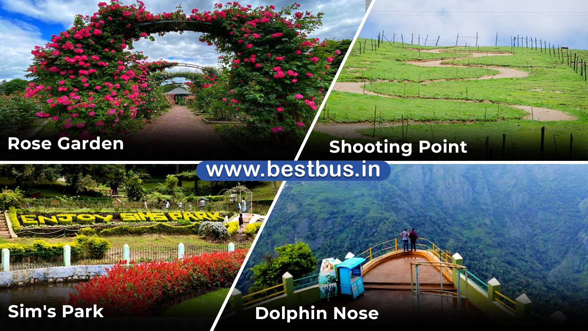 Bangalore To Mysore Ooty Coonoor Coorg Madikeri Abbey Falls VISIT PLACE 06