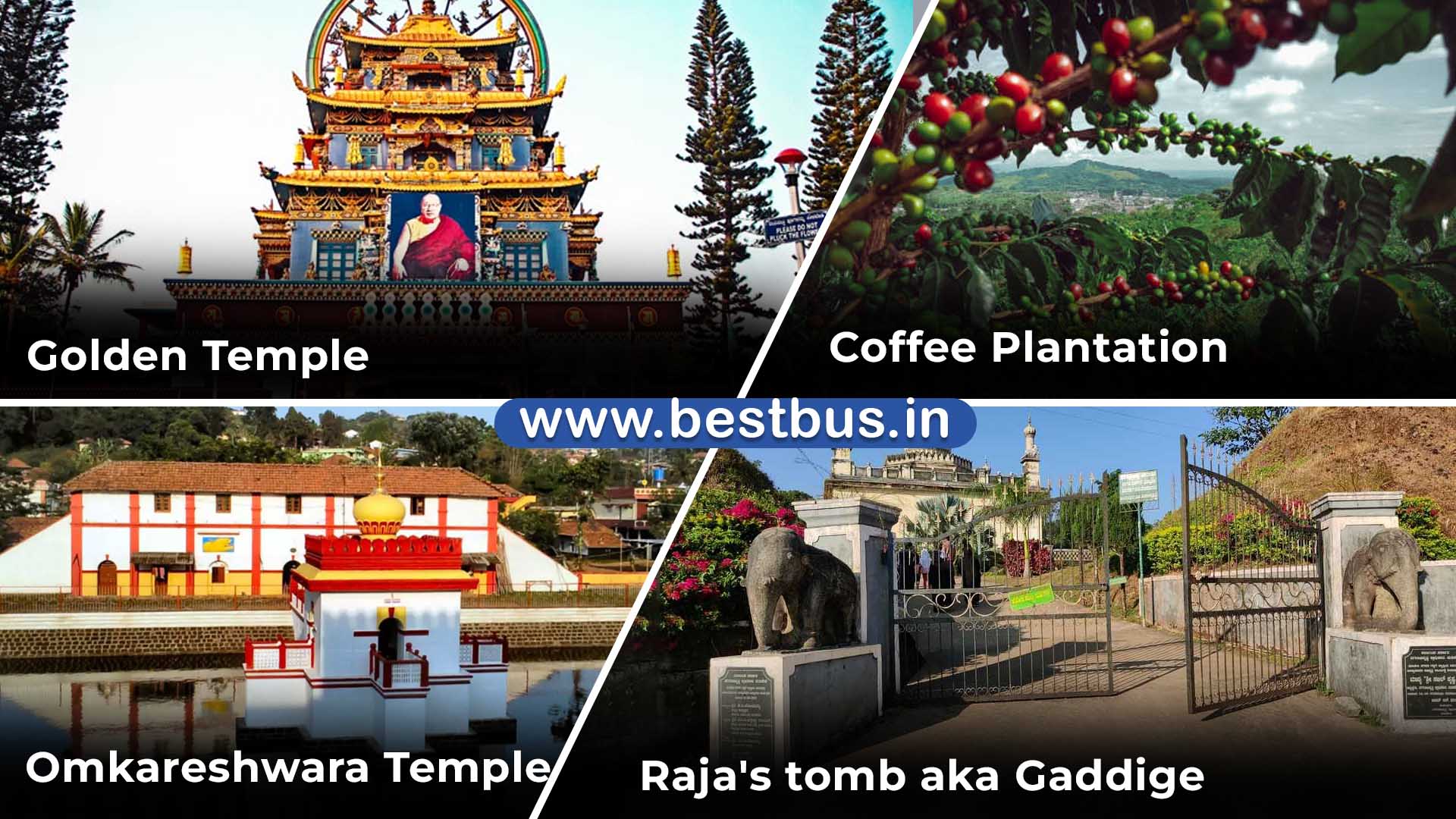 Bangalore To Mysore Ooty Coonoor Coorg Madikeri Abbey Falls VISIT PLACE 09