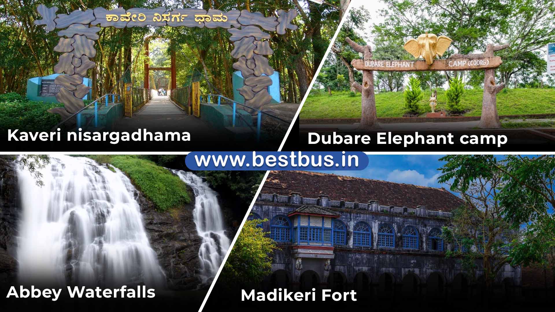 Bangalore To Mysore Ooty Coonoor Coorg Madikeri Abbey Falls visit place 10