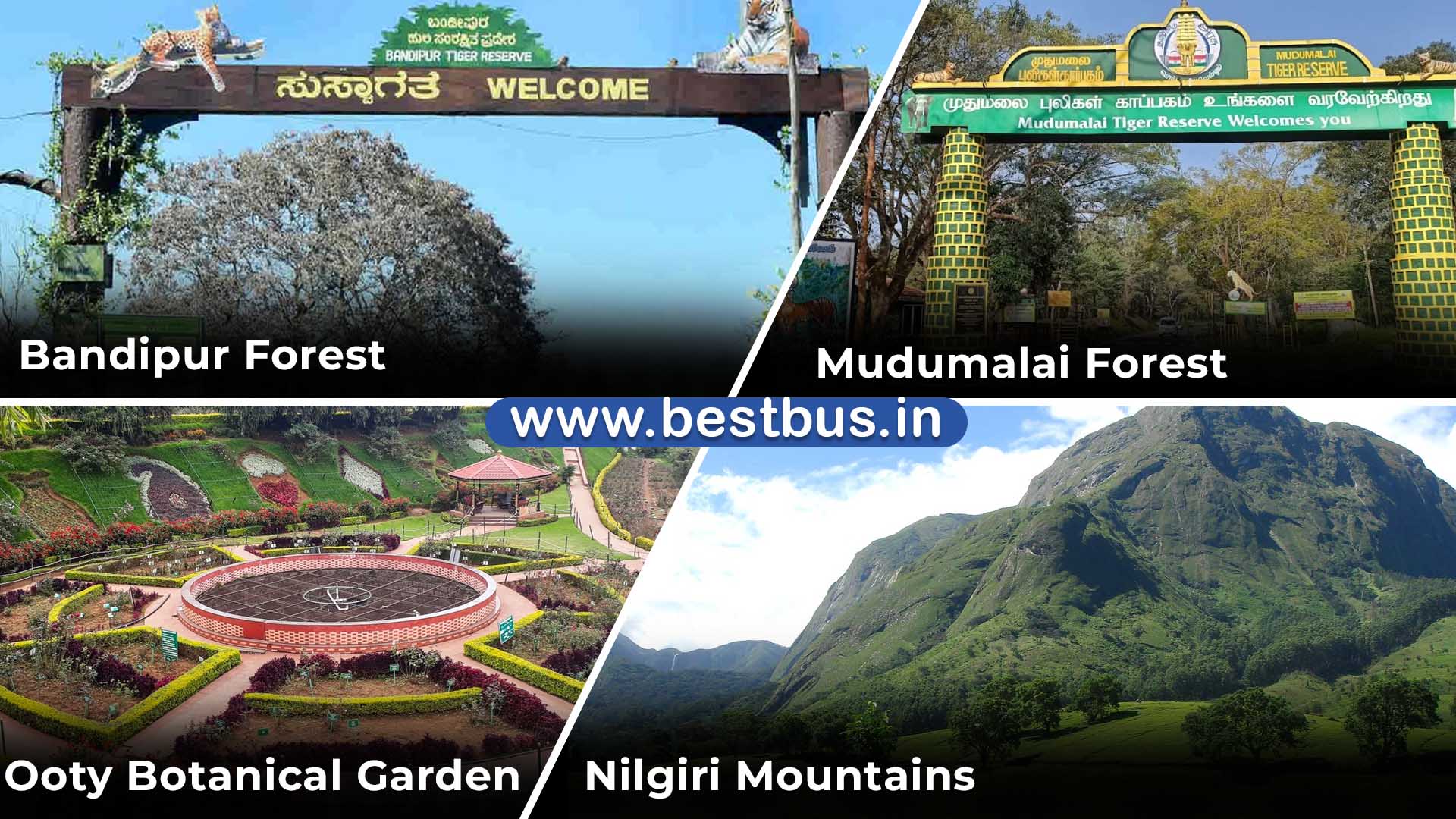 Bangalore To Mysore Ooty Coonoor Coorg Madikeri Abbey Falls visit place 4
