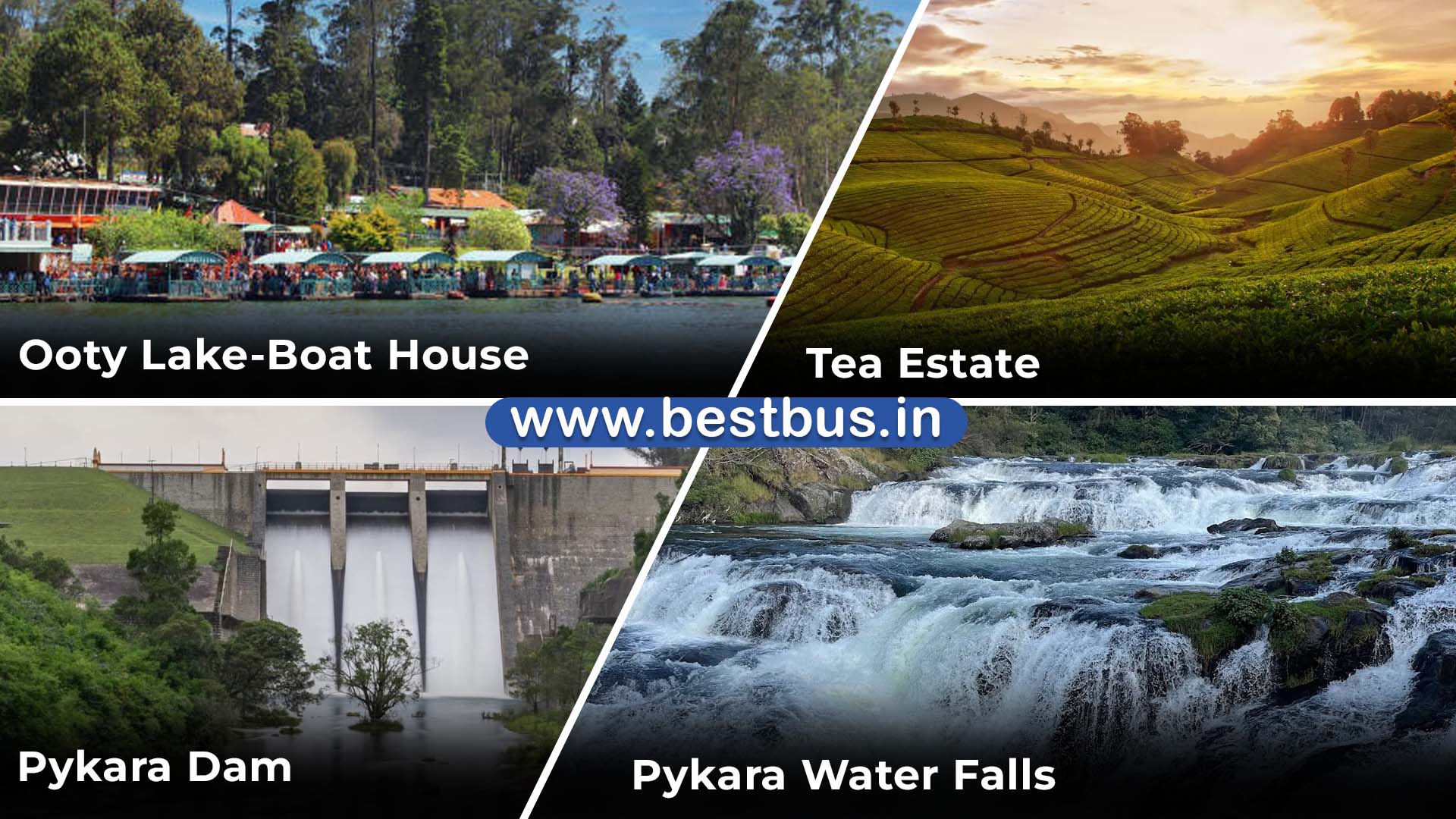 Bangalore To Mysore Ooty Coonoor Coorg Madikeri Abbey Falls visit place 5