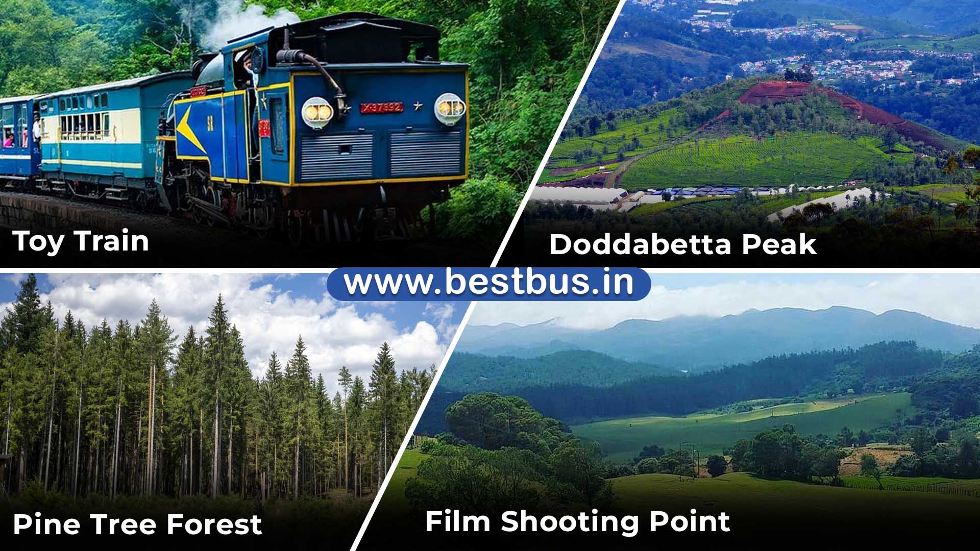 Bangalore To Mysore Ooty Coonoor Coorg Madikeri Abbey Falls visit place 6