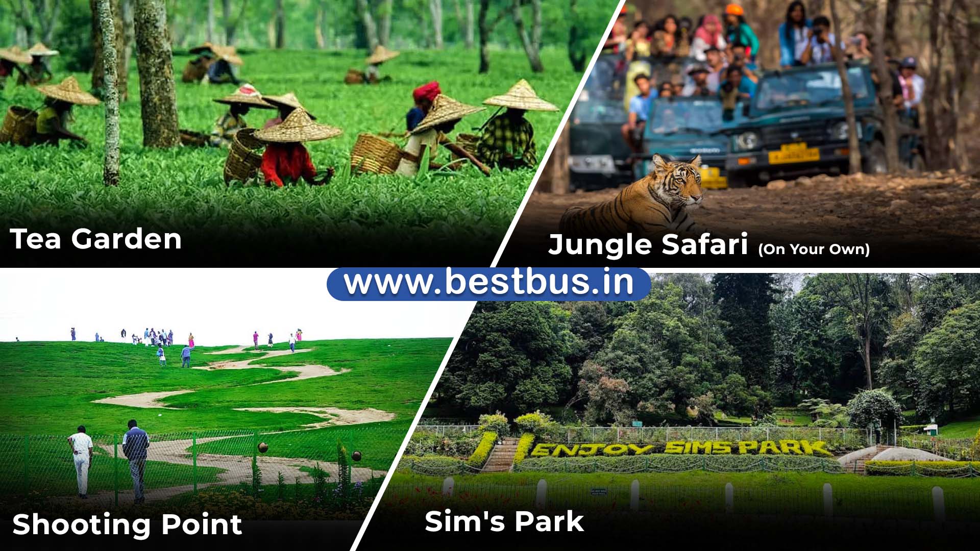 Bangalore To Mysore Ooty Coonoor Coorg Madikeri Abbey Falls visit place 7