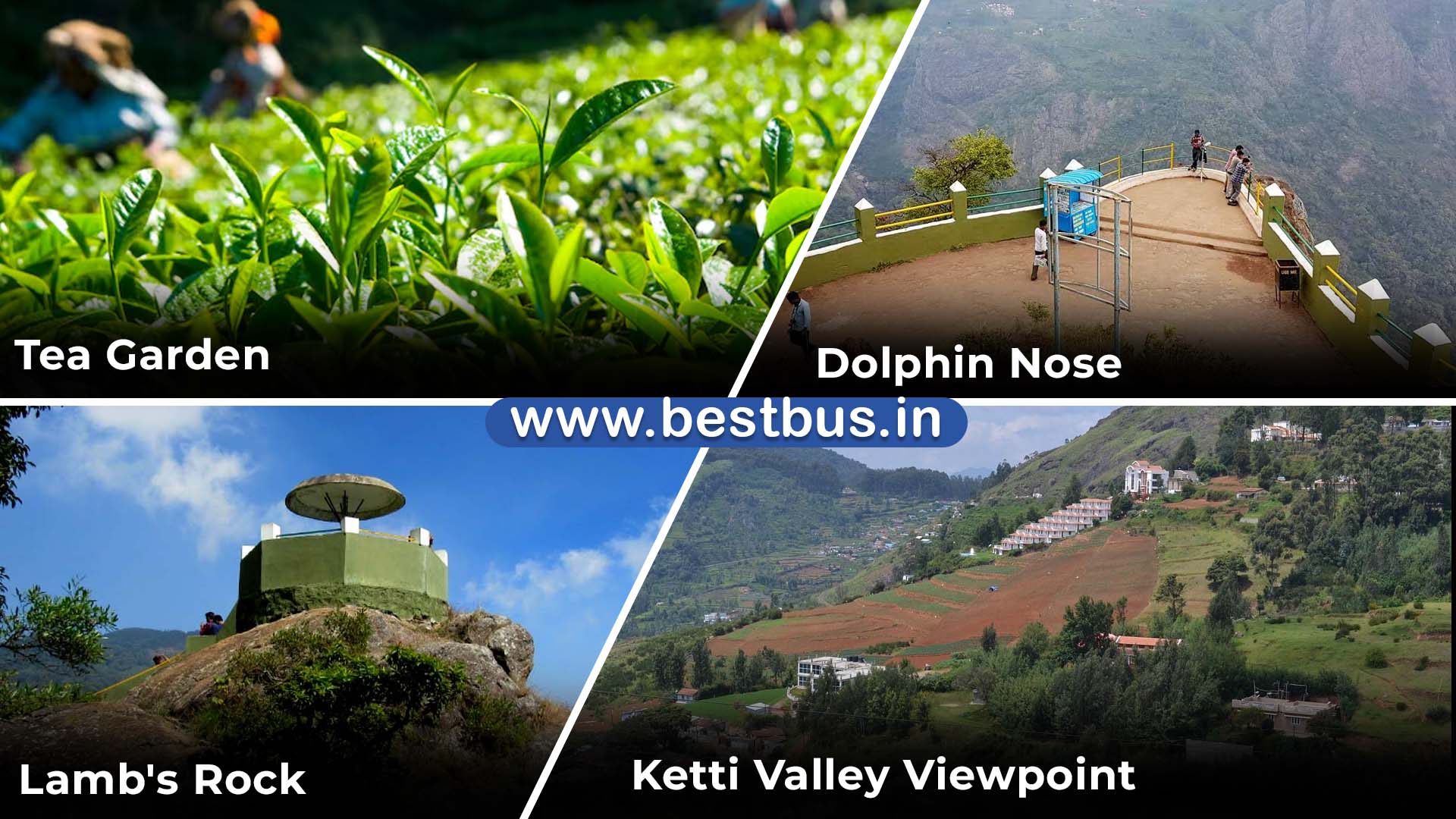 Bangalore To Mysore Ooty Coonoor Coorg Madikeri Abbey Falls visit place 8