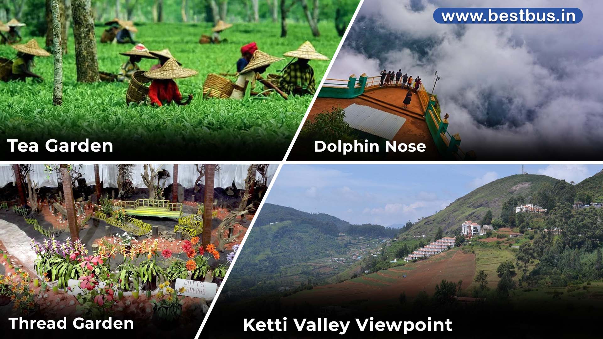 Bangalore To Mysore Ooty Coonoor Isha Foundation Tour Package visit place 4