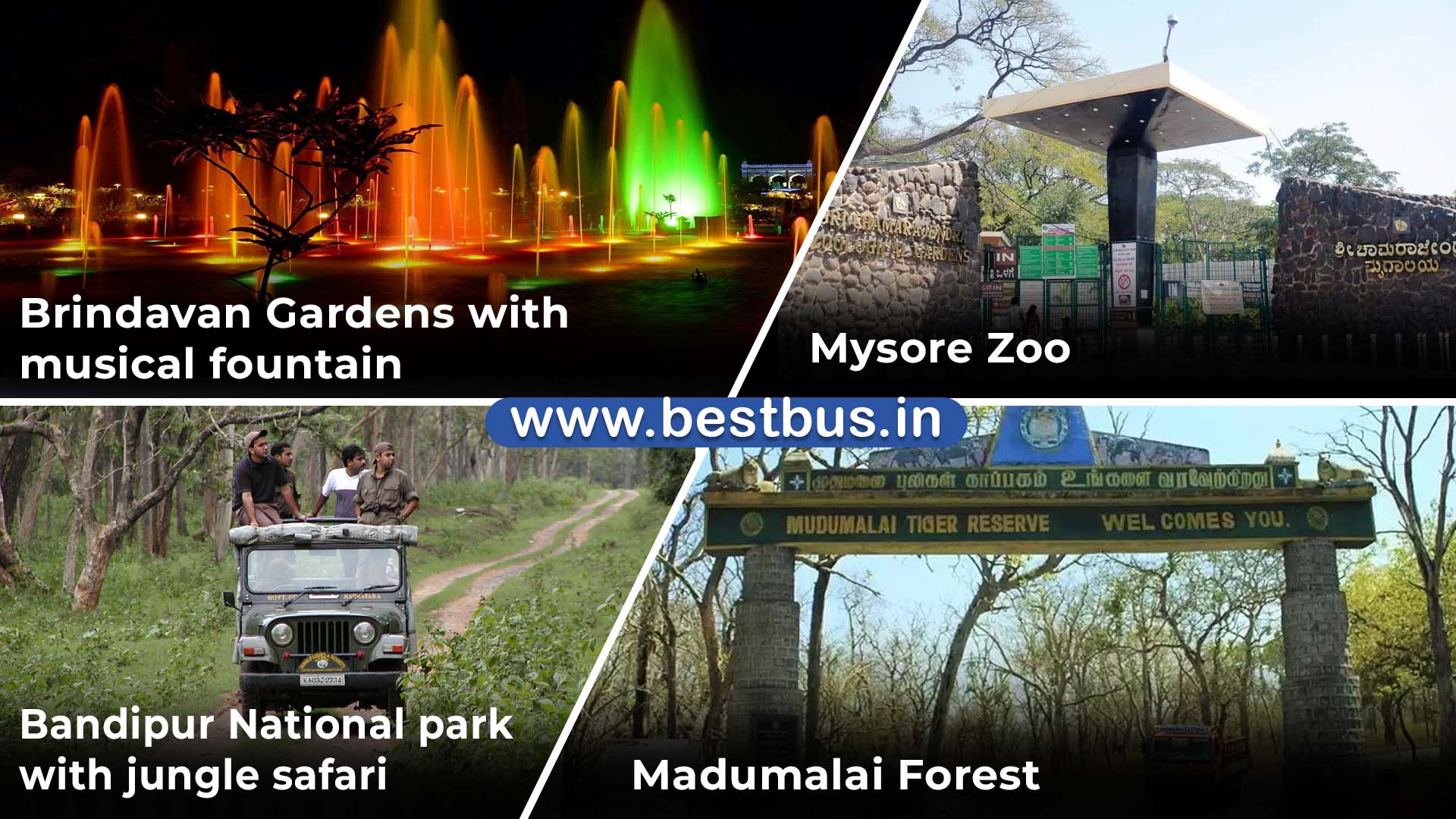 Bangalore To Mysore Ooty Filmy Chakkar Coonoor Kodaikanal visit place 4