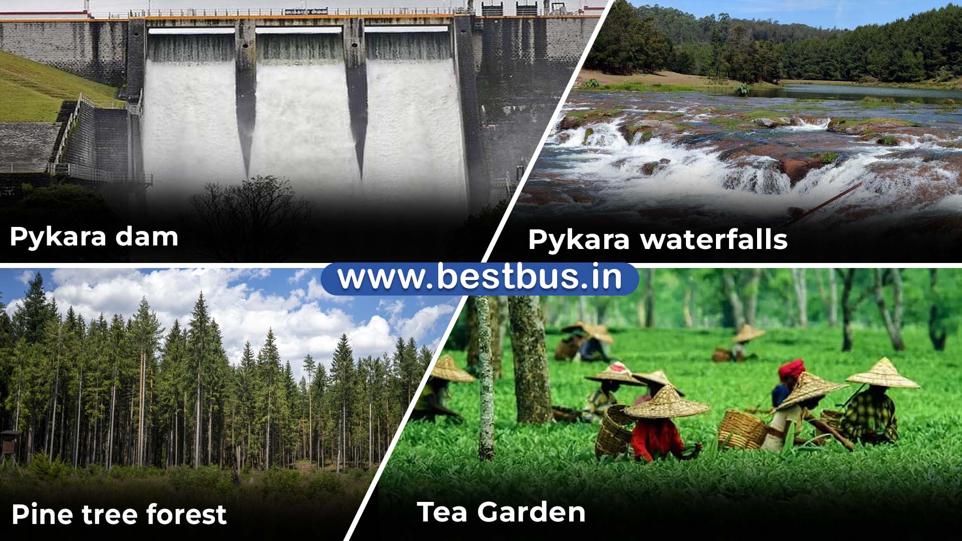 Bangalore To Mysore Ooty Filmy Chakkar Coonoor Kodaikanal visit place 5