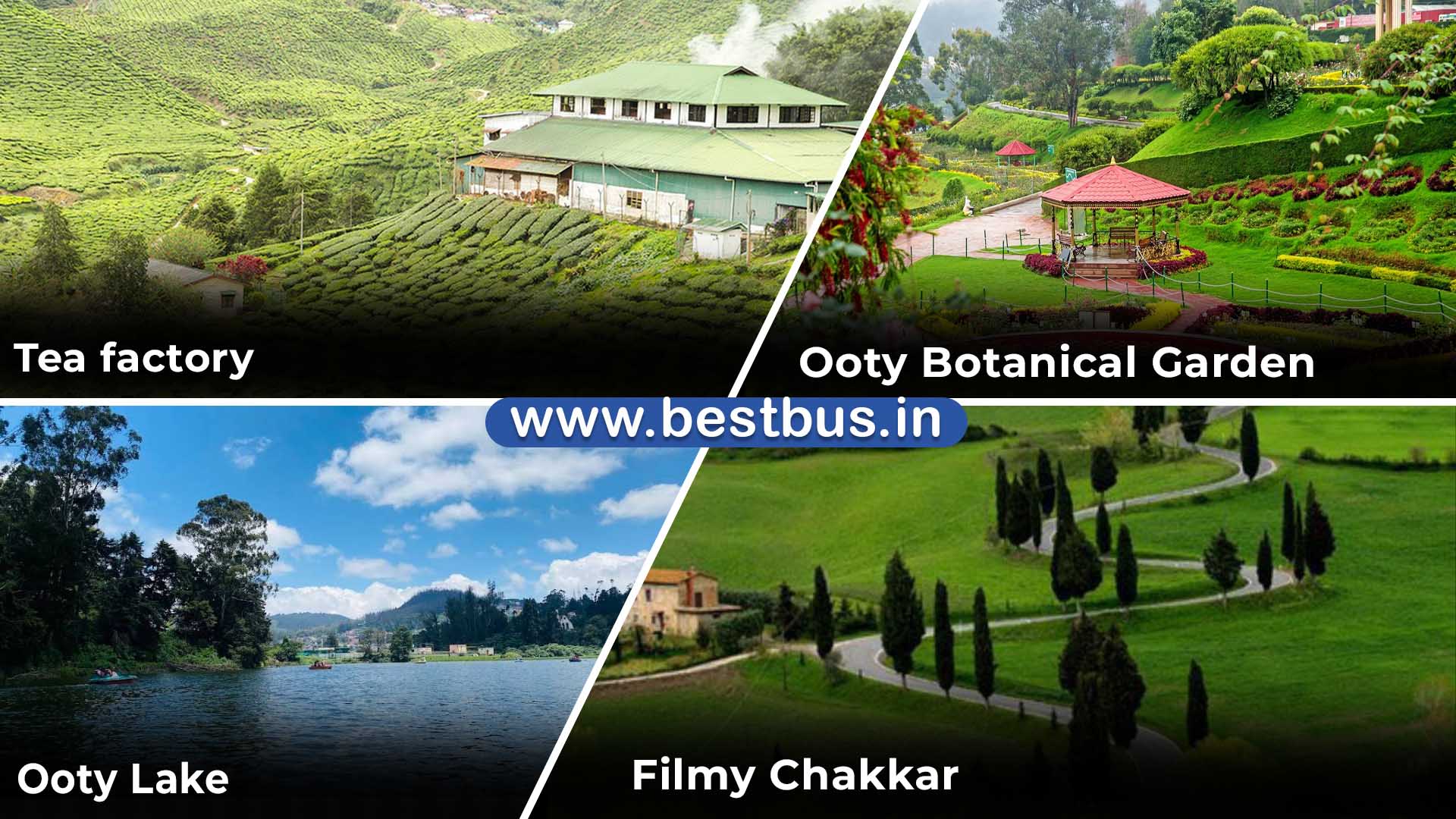 Bangalore To Mysore Ooty Filmy Chakkar Coonoor Kodaikanal visit place 6