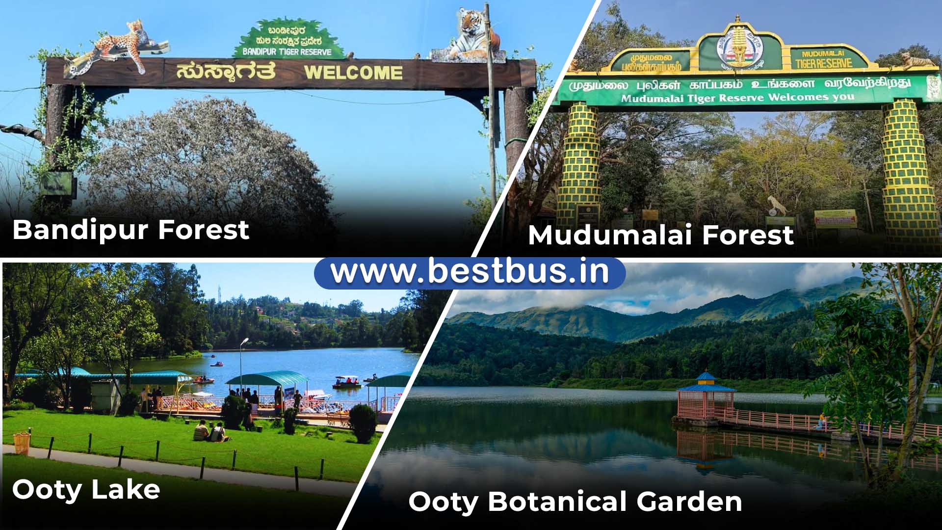 Bangalore To Ooty Coonoor Isha Foundation Wayanad Mysore visit place 2