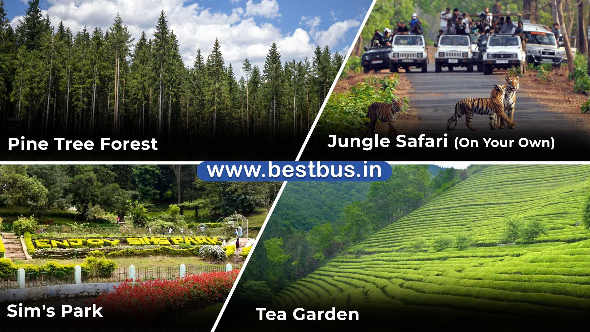Bangalore To Ooty Coonoor Isha Foundation Wayanad Mysore visit place 3