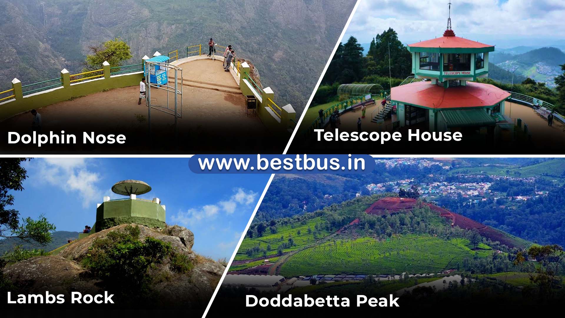 Bangalore To Ooty Coonoor Isha Foundation Wayanad Mysore visit place 4