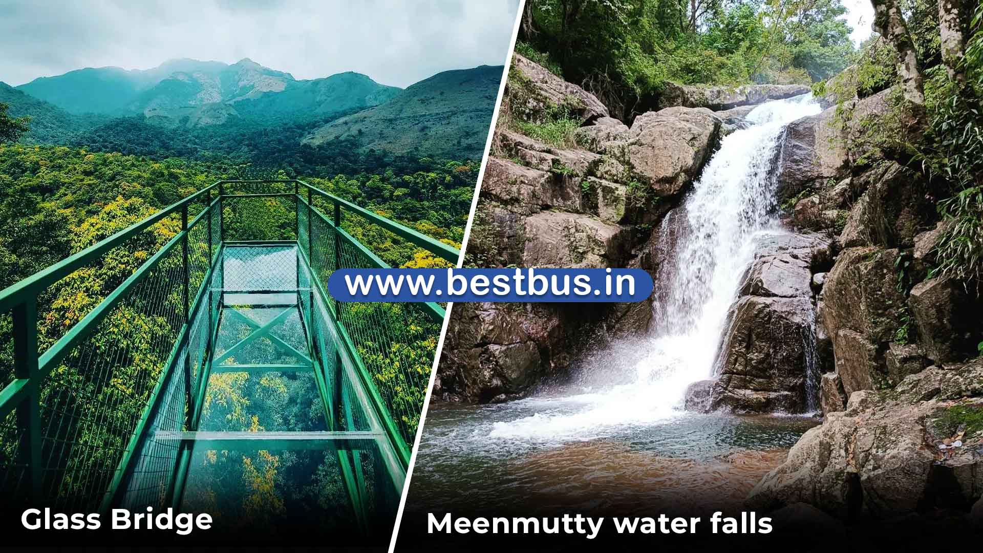 Bangalore To Ooty Coonoor Isha Foundation Wayanad Mysore visit place 6