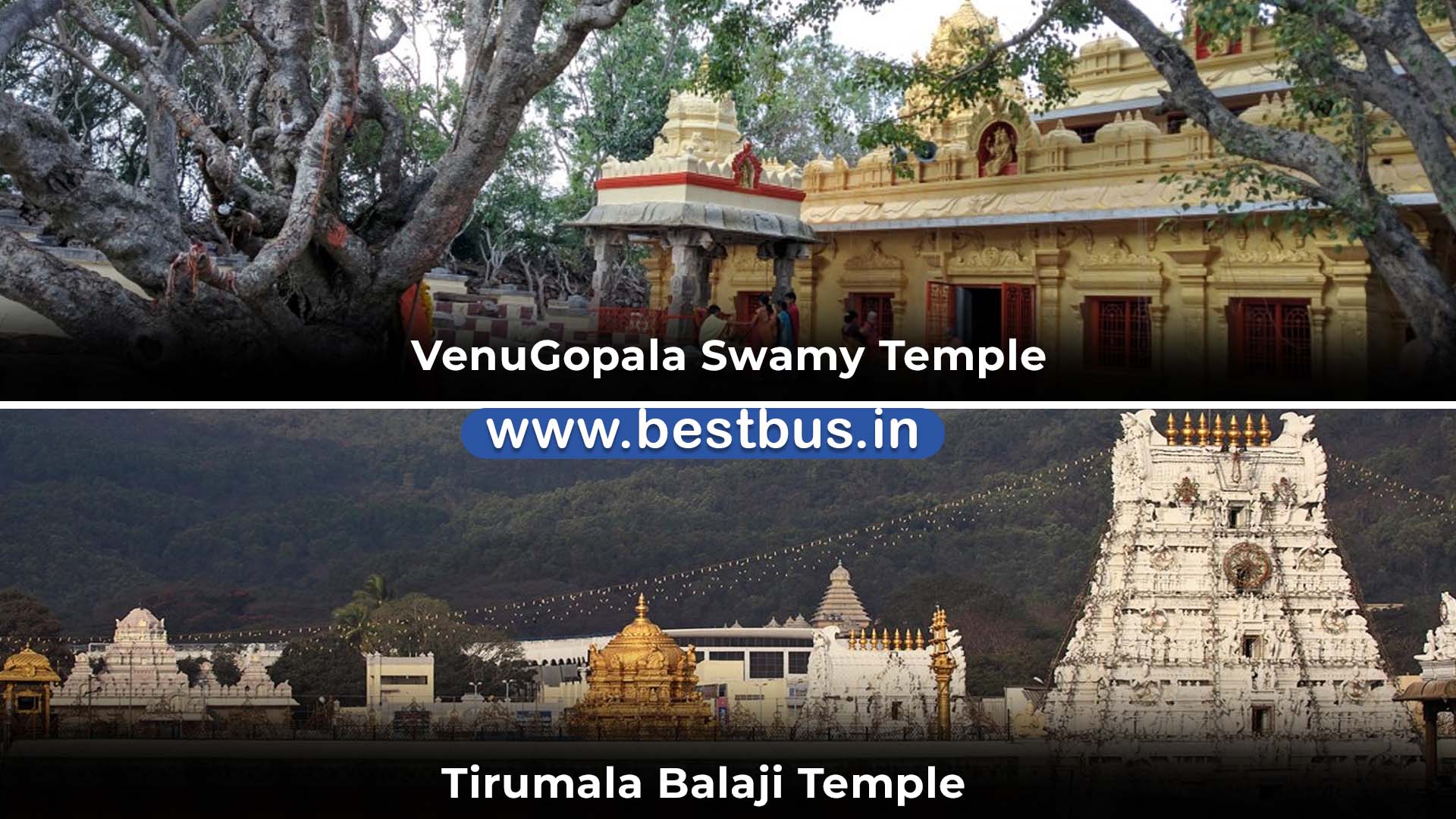 Hyderabad To Tirupati-Tirumala Darshan (SSD Token) Tiruchanur Srikalahasti visit place 4