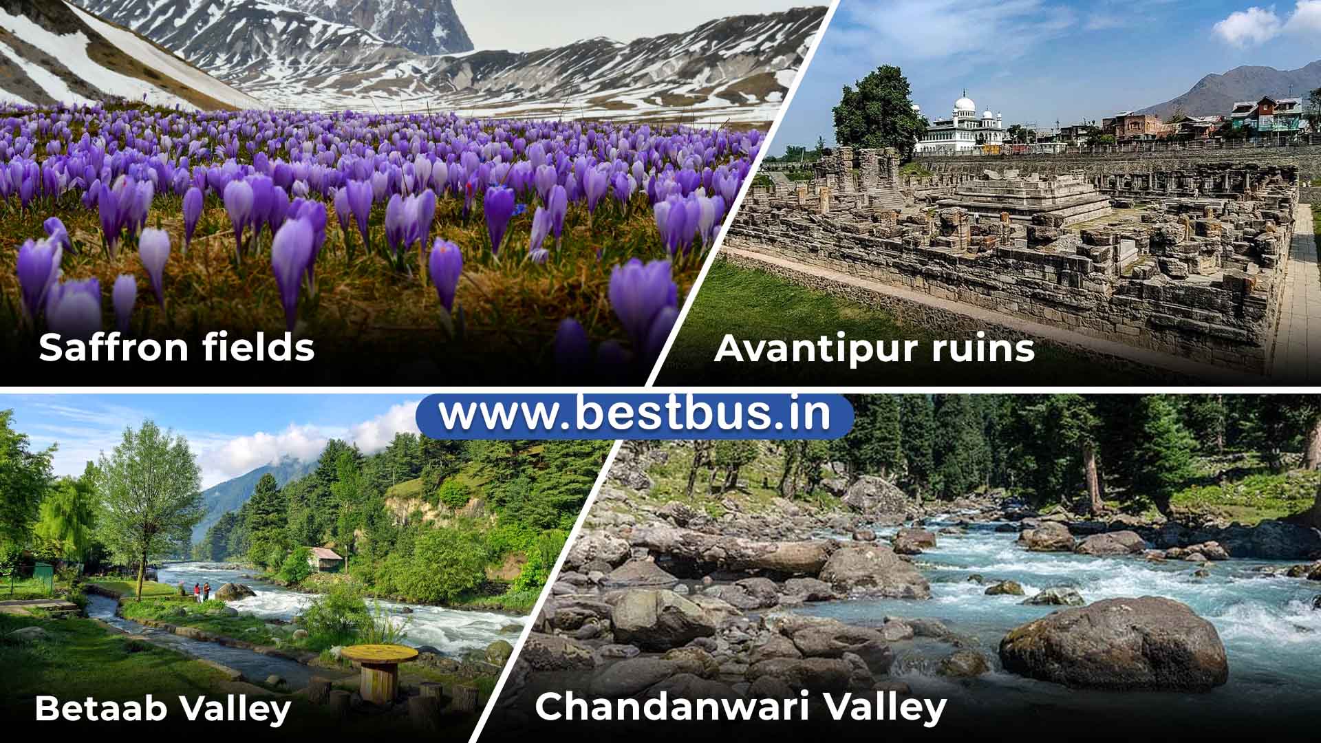 Kashmir Tour Package From Kochi Kerala With Flight visit place3