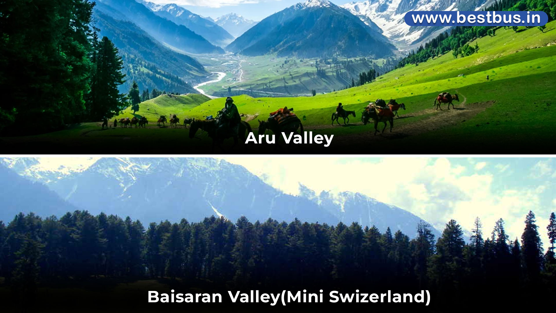 Kashmir Tour Package From Kochi Kerala With Flight visit place4