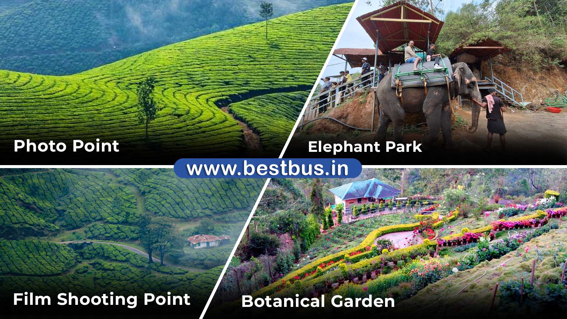 Munnar Alleppey Varkala Tour Package From Bangalore visit place 2