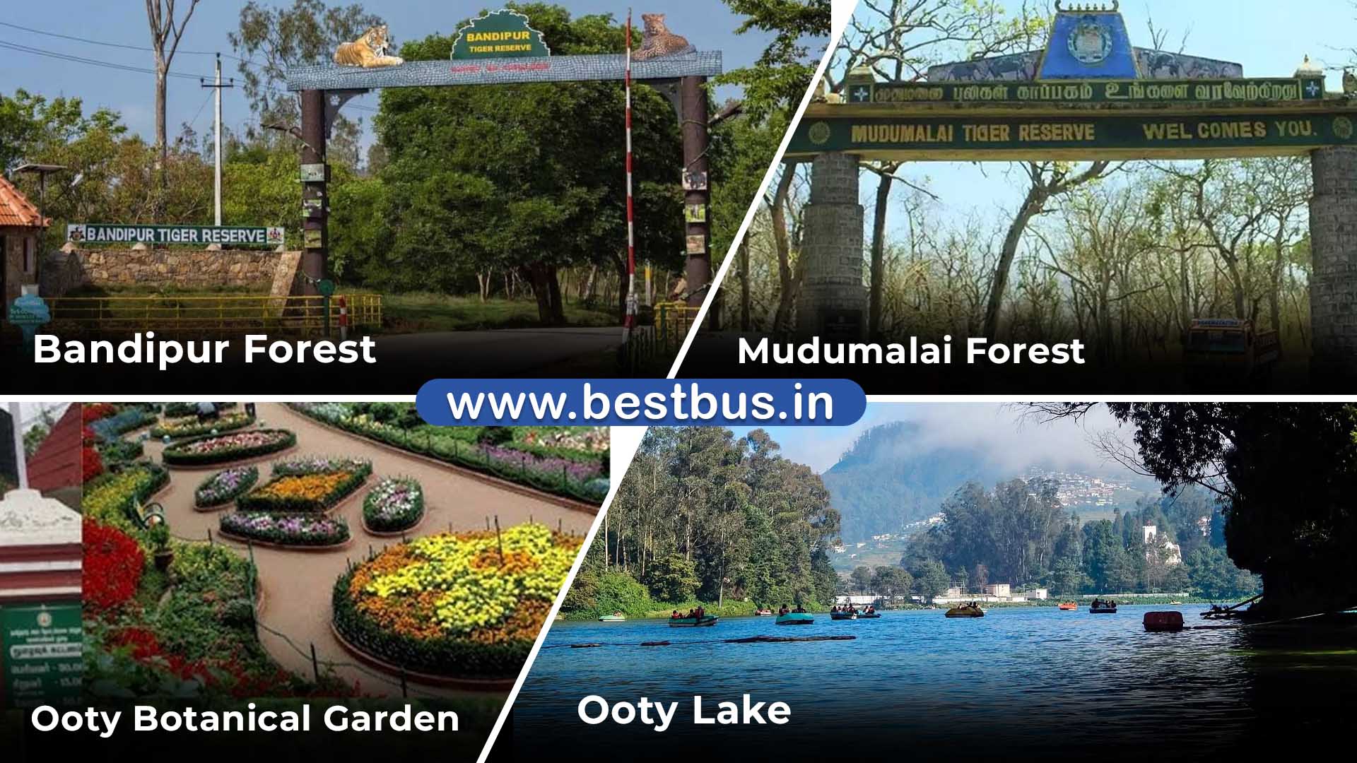 One Day Ooty Coonoor City Tour By Car visit place 1