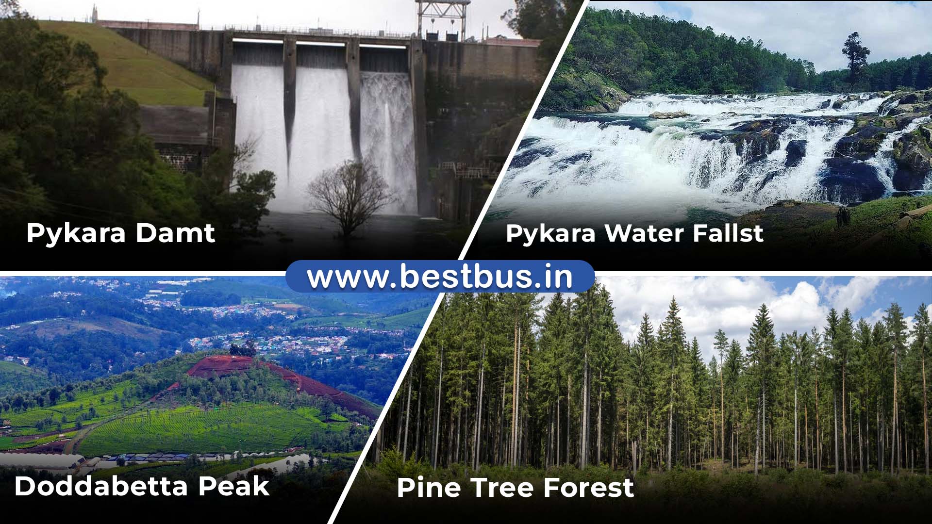 One Day Ooty Coonoor City Tour By Car visit place 2