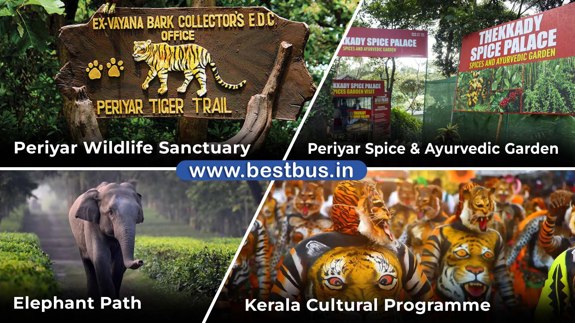 Thekkady One Day Tour Package By Car visit place 1