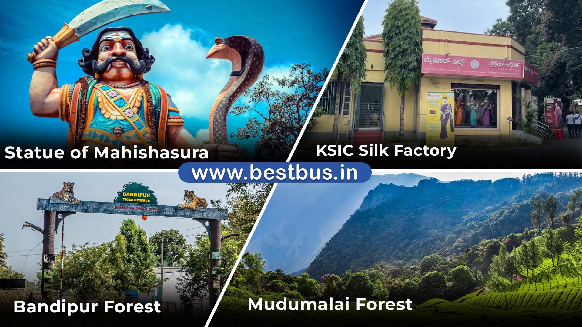 Vijayawada To Mysore Ooty Coonoor Kodaikanal visit place 3