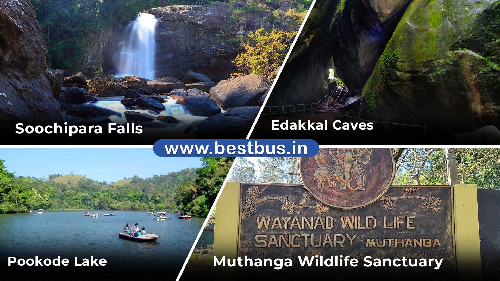 Vijayawada To Mysore Wayanad Tour Package By Bus visit place 4