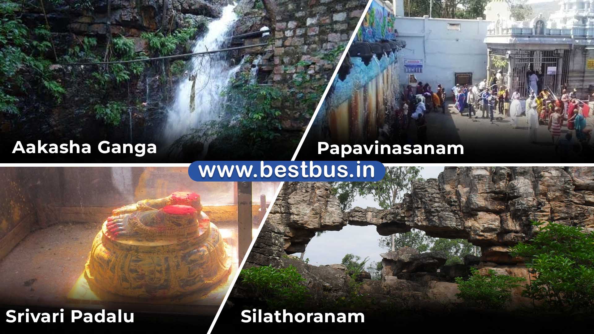 Visakhapatnam To Tirupati-Tirumala Darshan (SSD Token) Tiruchanur Srikalahasti visit place 3