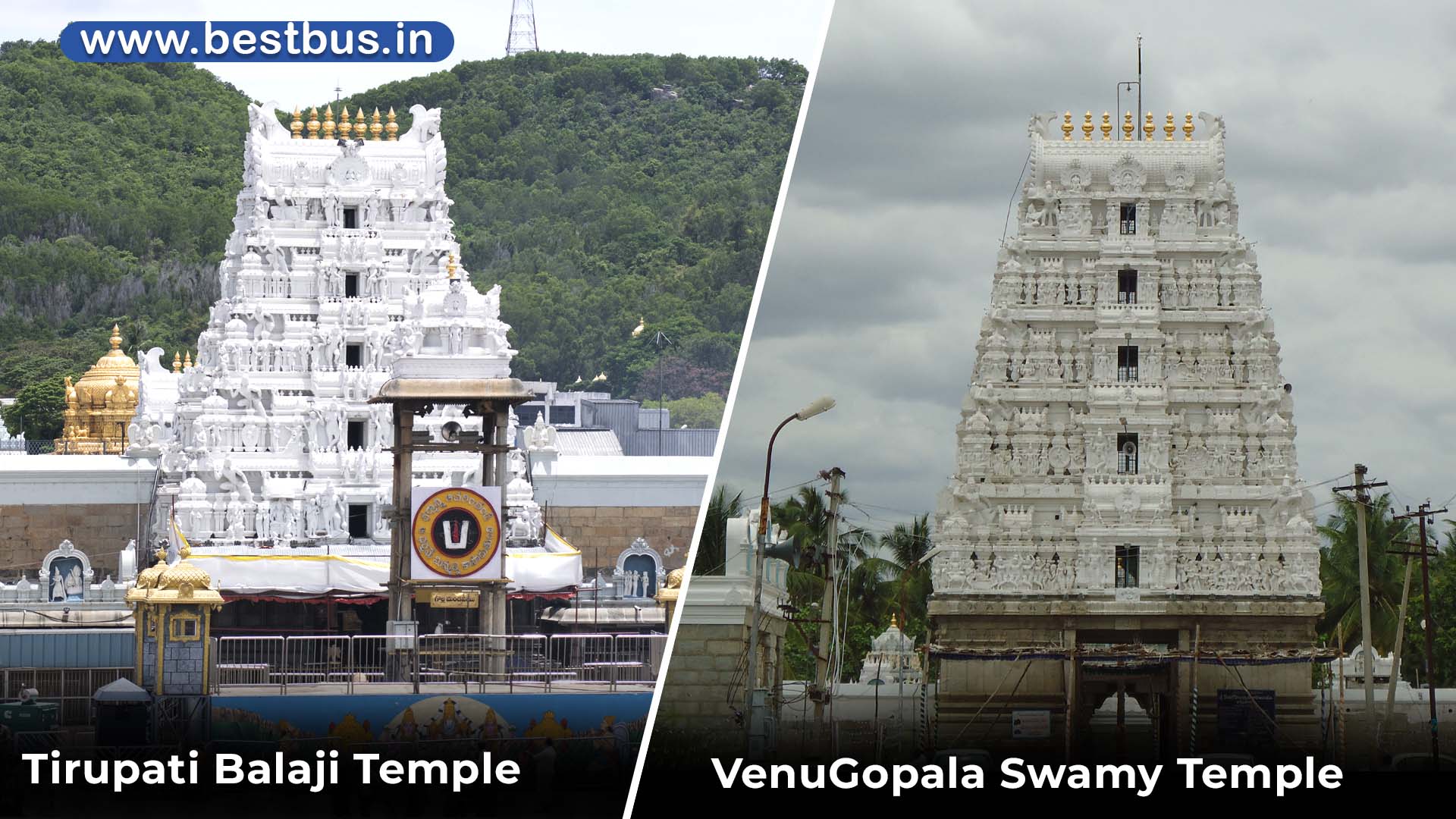 Visakhapatnam To Tirupati-Tirumala Darshan (SSD Token) Tiruchanur Srikalahasti visit place 4