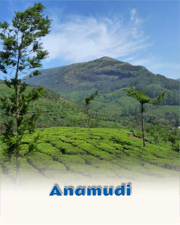 Anamudi
