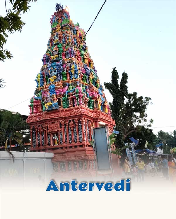 Antervedi