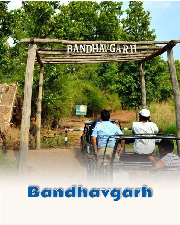 Bandhavgarh