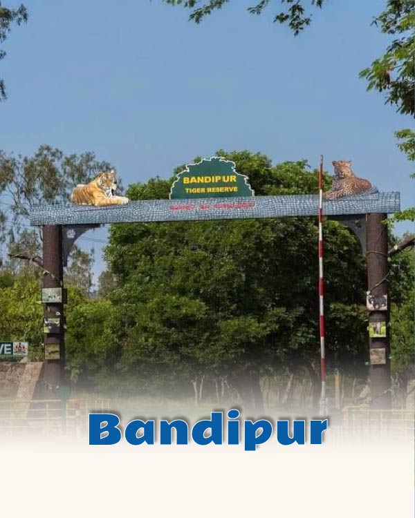 Bandipur