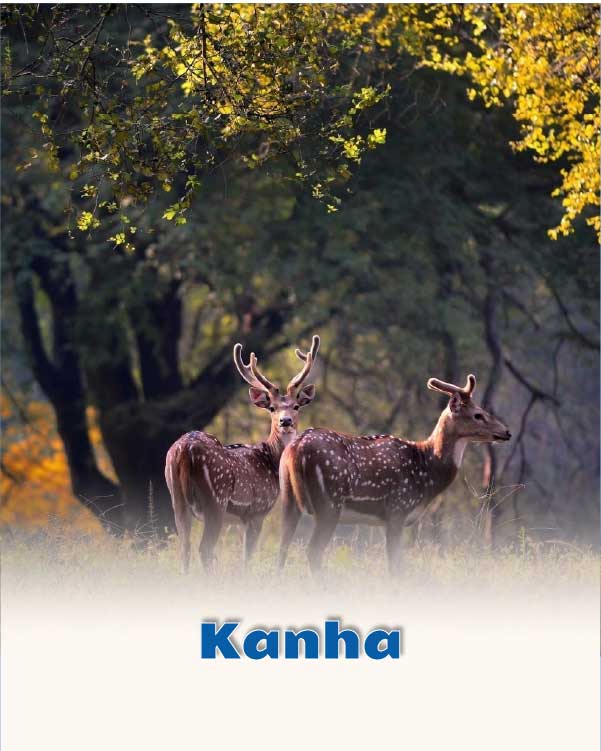 Kanha