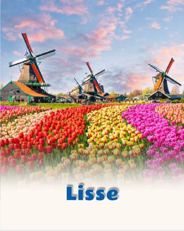 Lisse